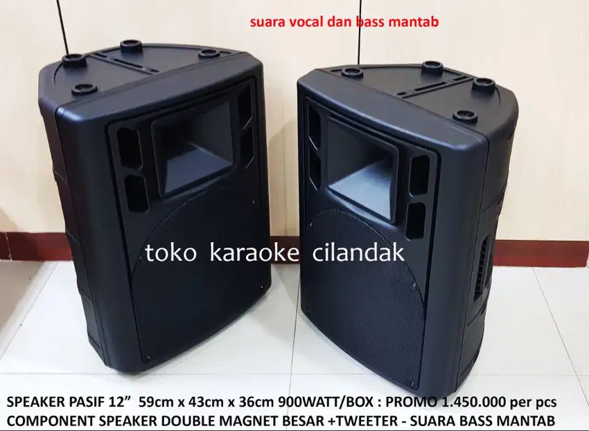 speaker pasif boxx tebal 12in