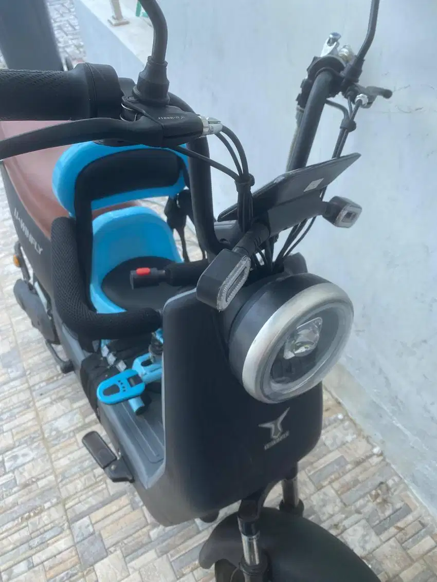 Uwinfly DF8 Sepeda Listrik 600W U-Winfly Dragonfly 8