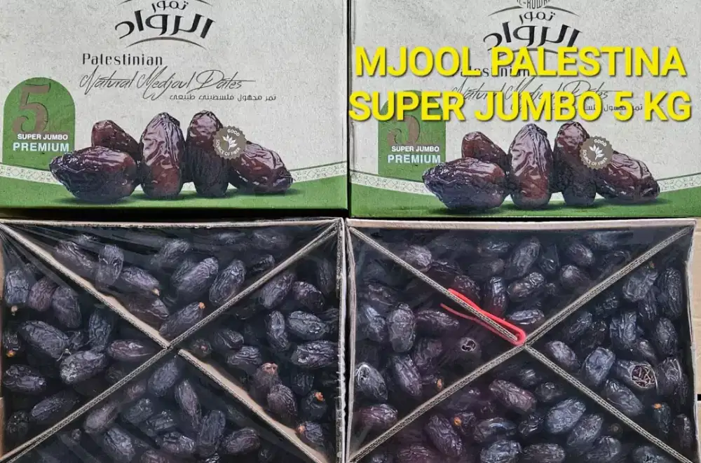 Kurma medjol palstine super jumbo 5kg 2027