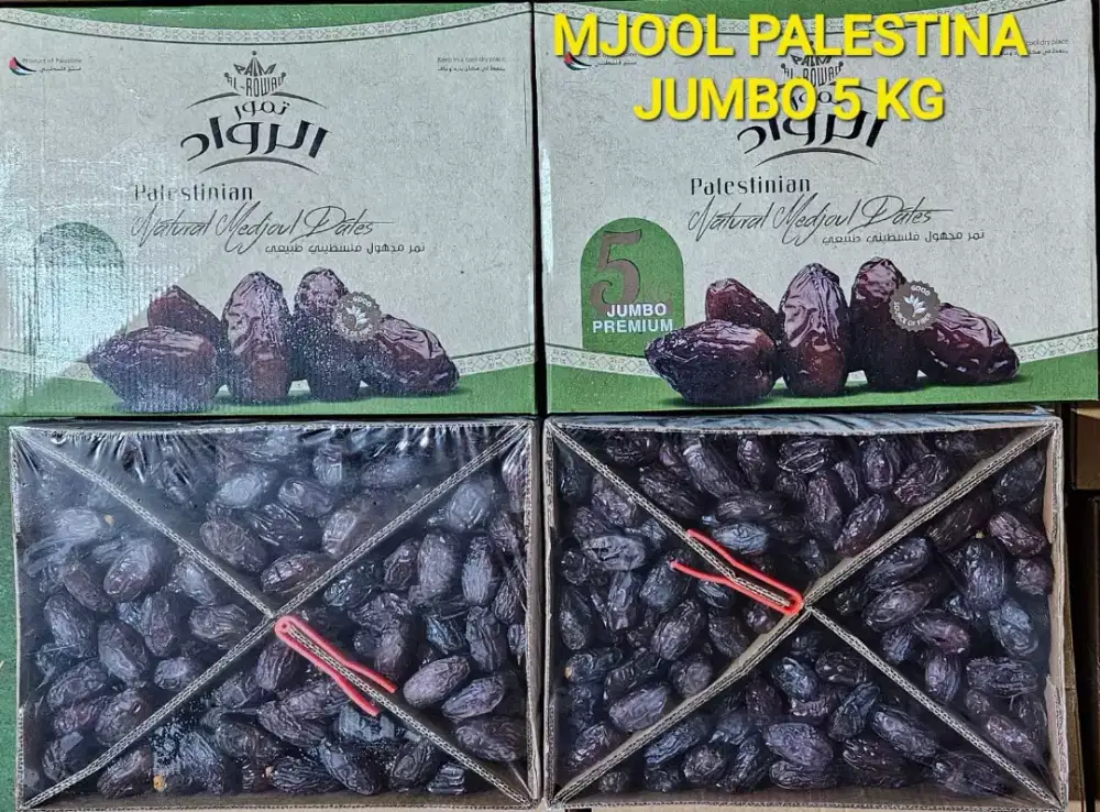 Kurma medjol palestine jumbo 5kg exp 2026