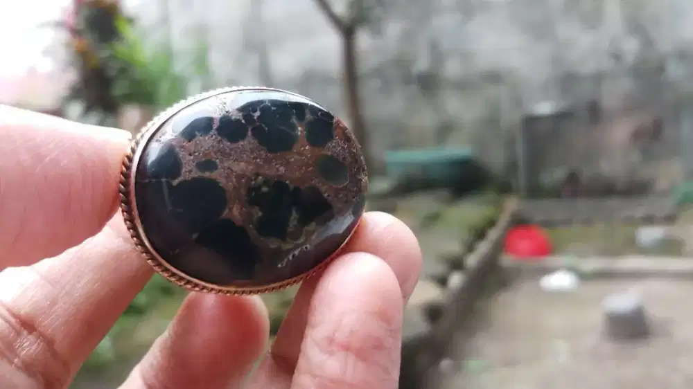 Pirus Persia Hitam Langka (Buhun) Urat Mas