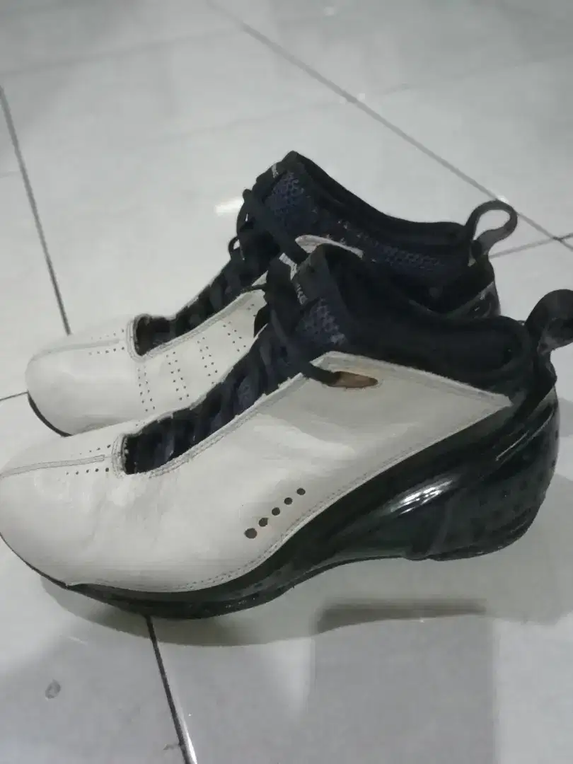 Sepatu Nike Zoom Air