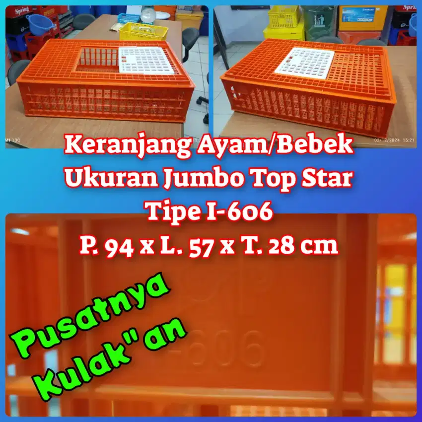 Krat Keranjang Ayam Jumbo Baru