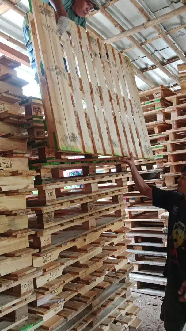 Palet Kayu Bekas Konsidi Bagus dan Layak Pakai