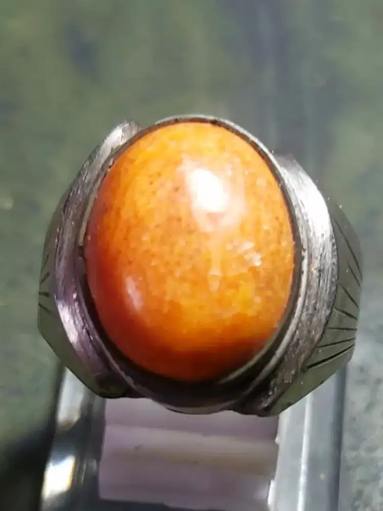 Orange Coral Marjan
- Ring Monel 8