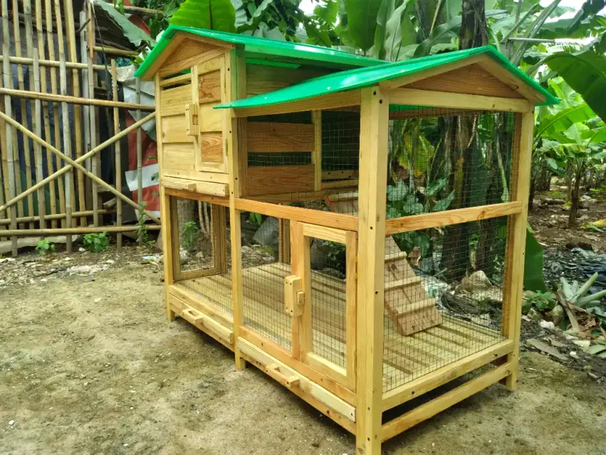 Kandang Ayam Kelinci Kucing