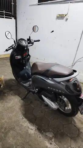 Scoopy Stylish Brown 2022