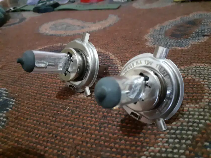 Lampu philips halogen standar