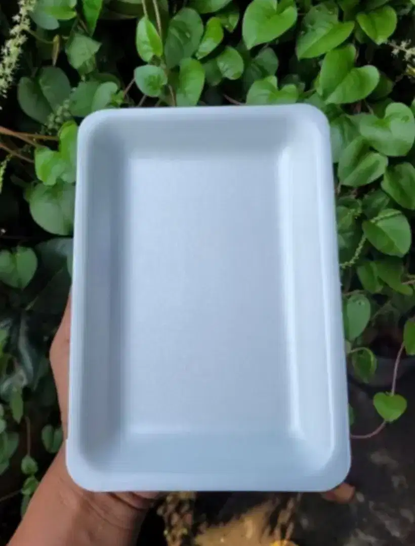 Styrofoam untuk buah