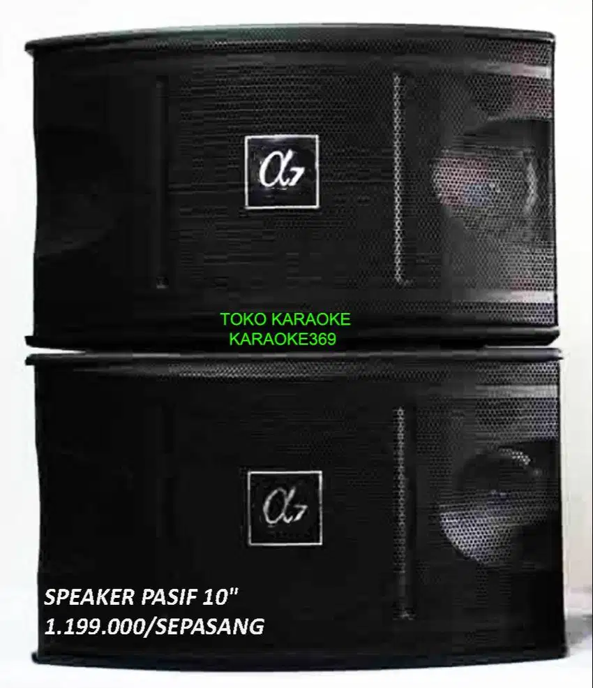 speaker 10in pasif