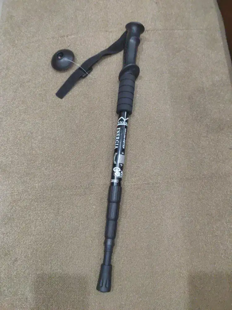 Tracking Pole Energia