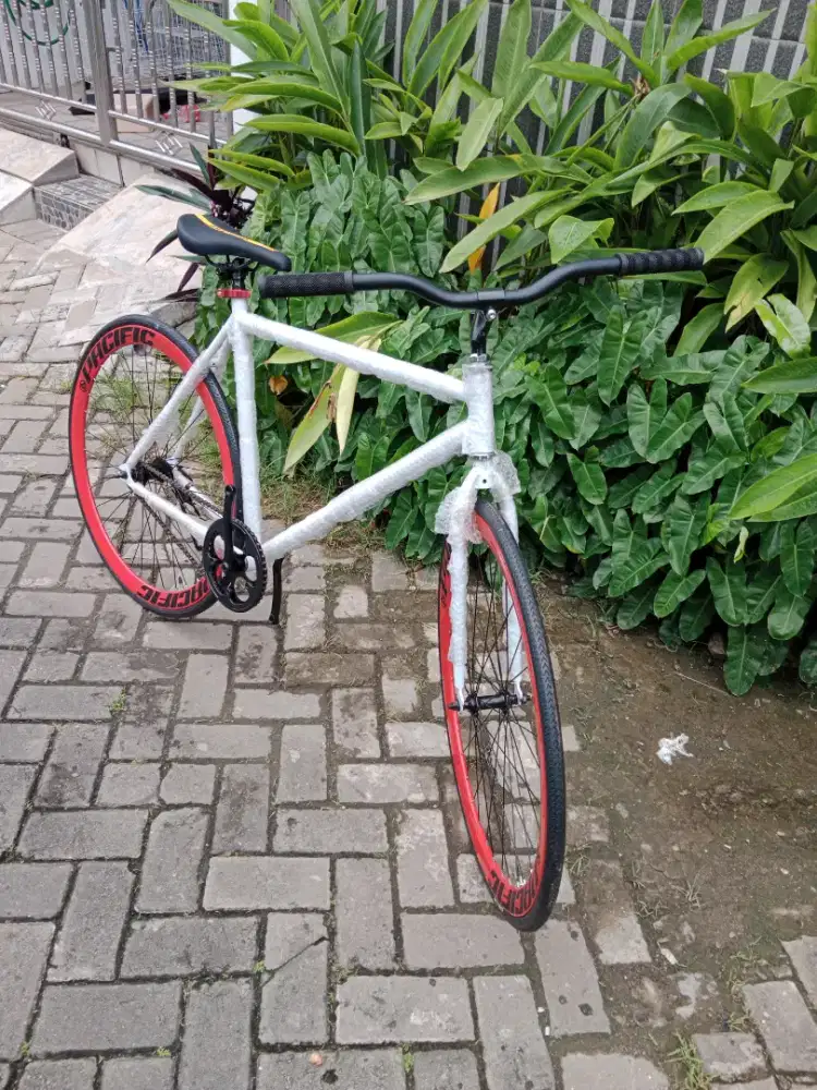 Sepeda Fixie Lokal Frame Putih