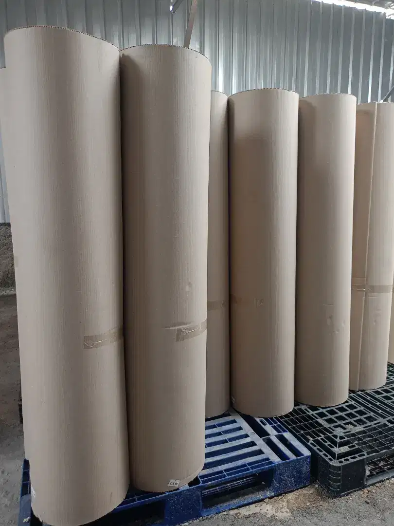 Karton Roll Single Face