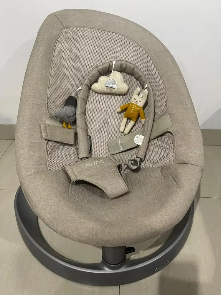 Nuna leaf grow warna biscotti