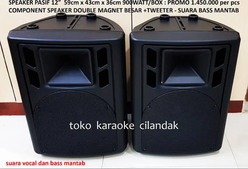 SPEAKER PASIF 12  COCOK UNTUK KARAOKE RESTORAN CAFE wat besar