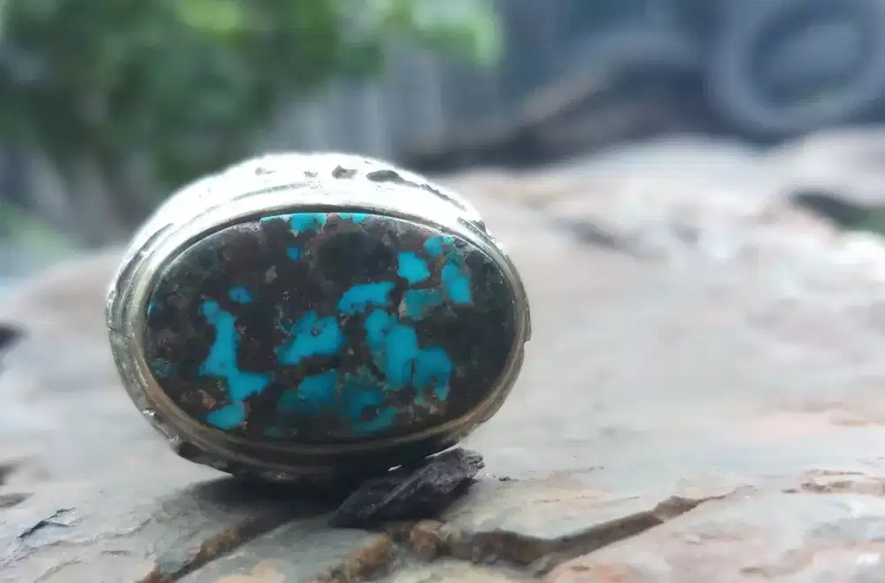 Pirus Ber Lafadz Muhammad