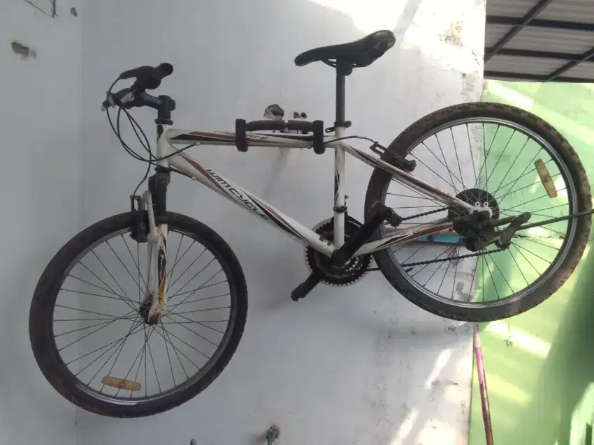 Sepeda wimcycle roadchamp s