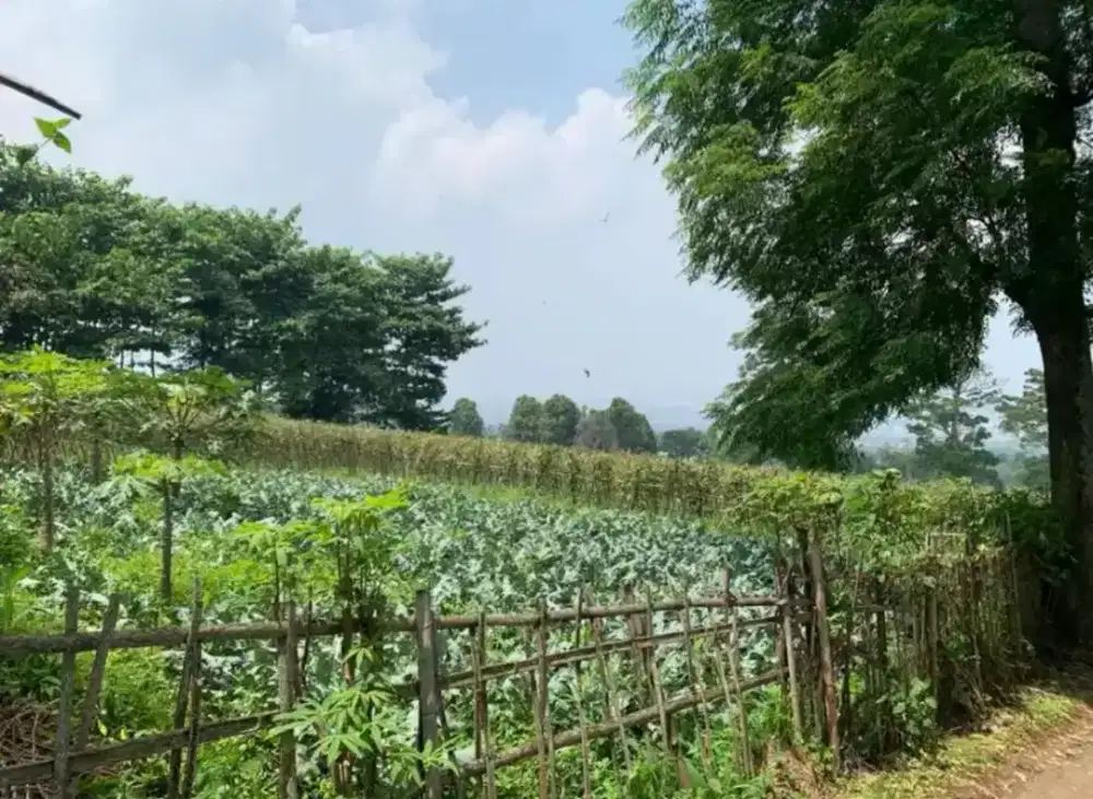 Tanah Pasir Embe Ngamprah