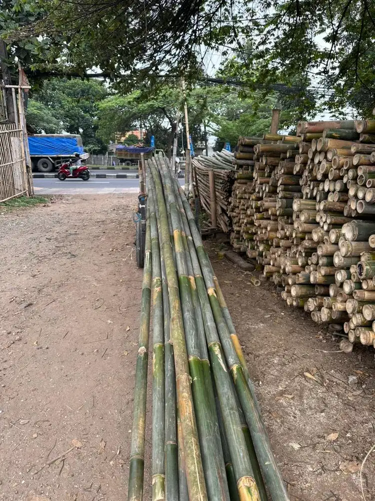 Bambu Steger Bambu Tali Bambu Umbul Umbul Bambu Gombong Bekisting