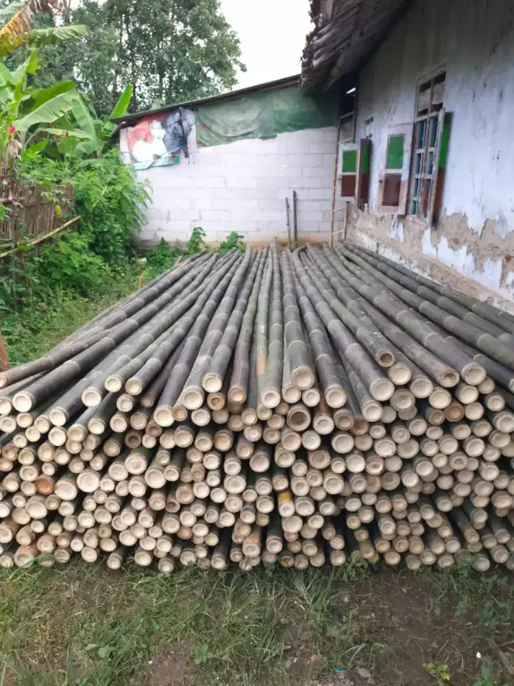 Bambu murah ukuran 6,7