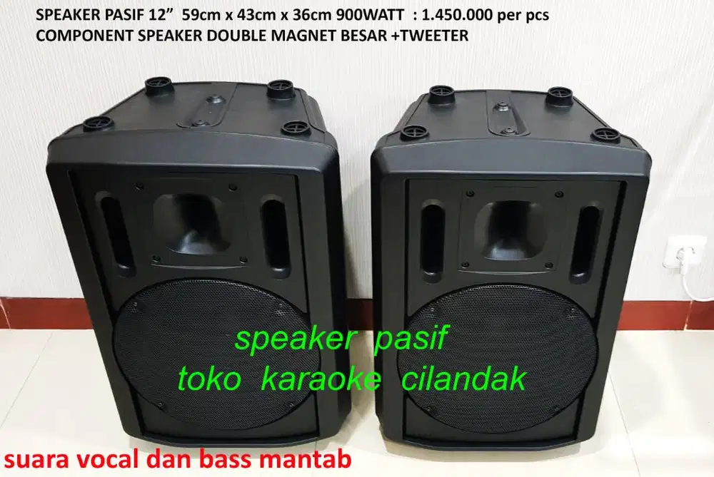 speaker pasif 12in 1pcs