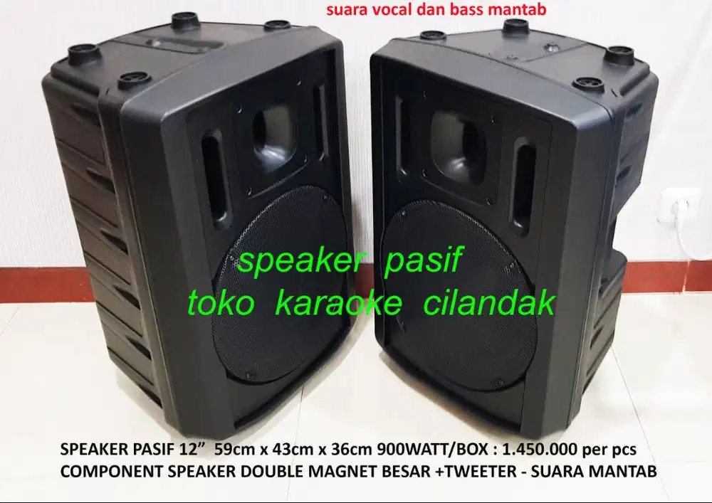 speaker pasif 12in sepasang