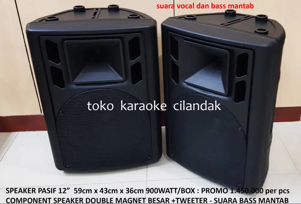 speraker pasif 12in box tebal