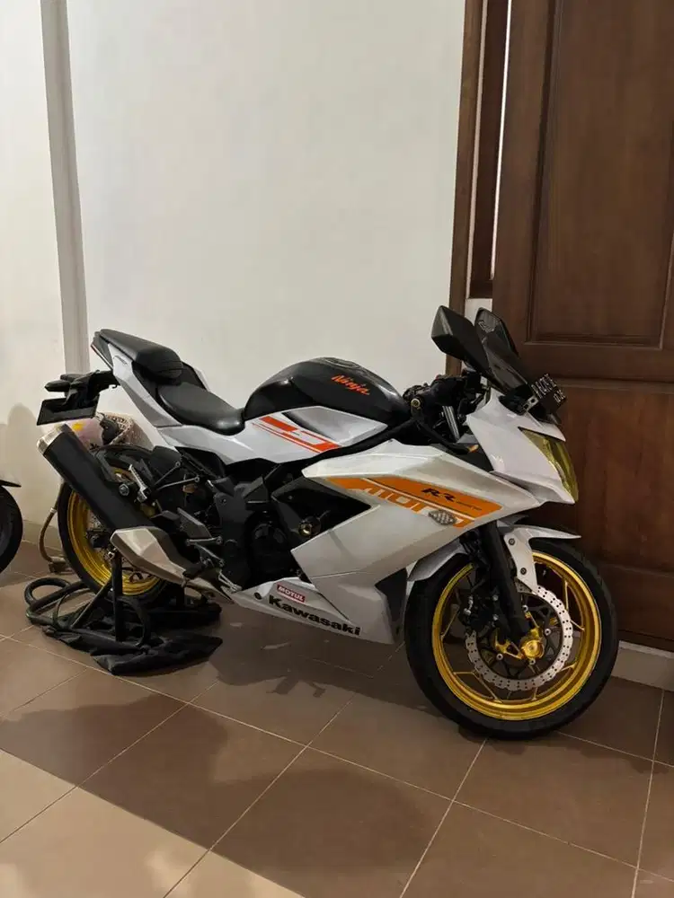 Kawasaki Ninja RR Mono 2016