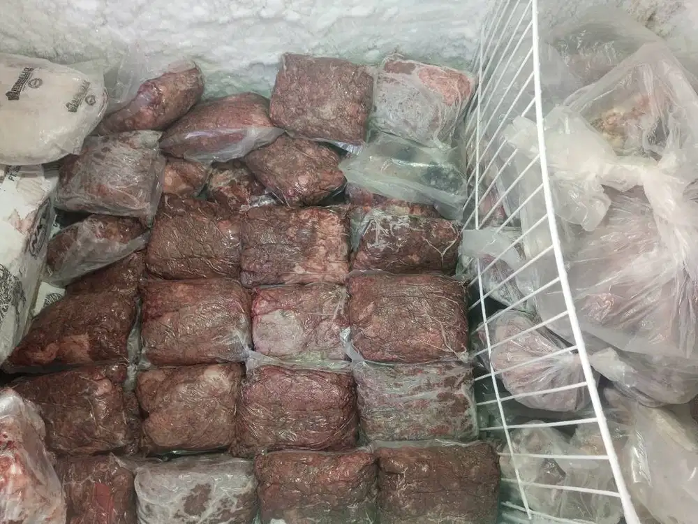 Makanan anjing murah