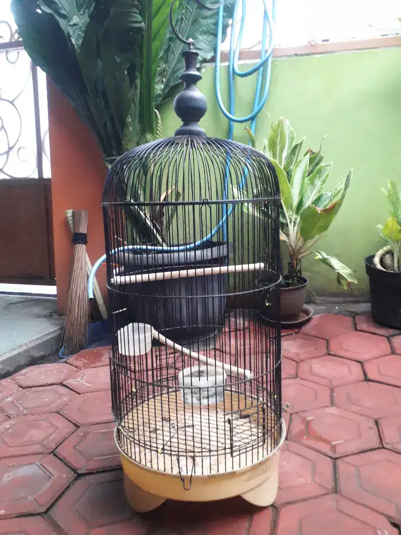 Sangkar Kawat Ex Labet Siap.Pakai..