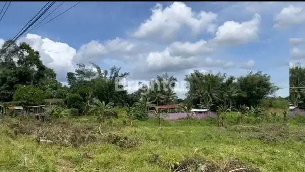 TANAH STRATEGIS POROS JALAN DEKAT IKN