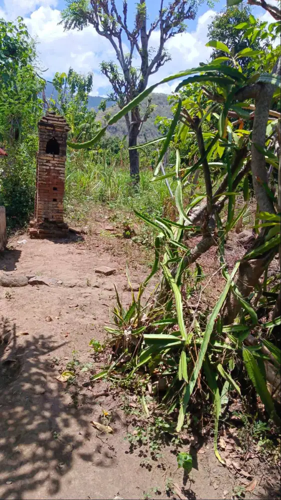 Dijual Tanah Siap Bangun   100  dari Jln Raya Gilimanuk Singaraja