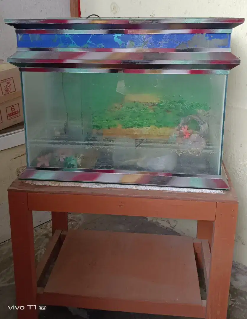 Aquarium Kaca & Meja (1 set)