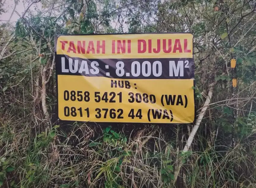 Dijual tanah 8000 m²
