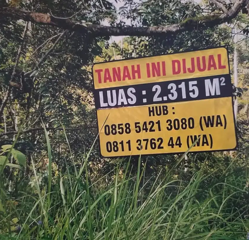 Dijual tanah tanpa perantara