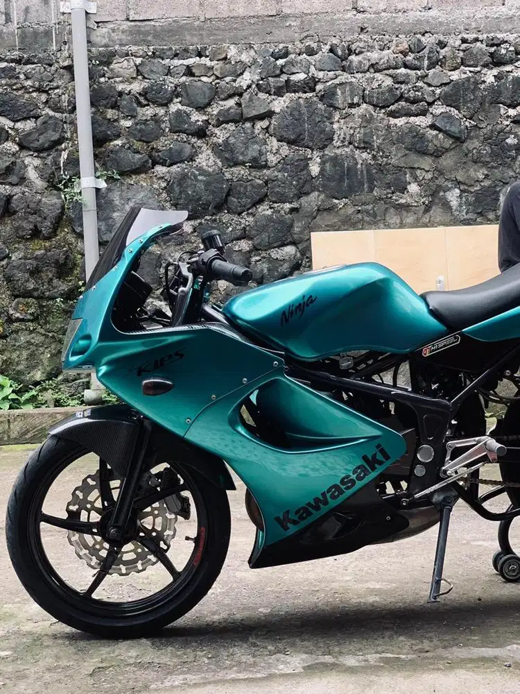 Ninja rr 150 2010 hotsell