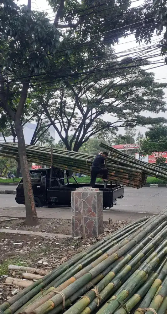 Bambu Tiang Cor , Esteger