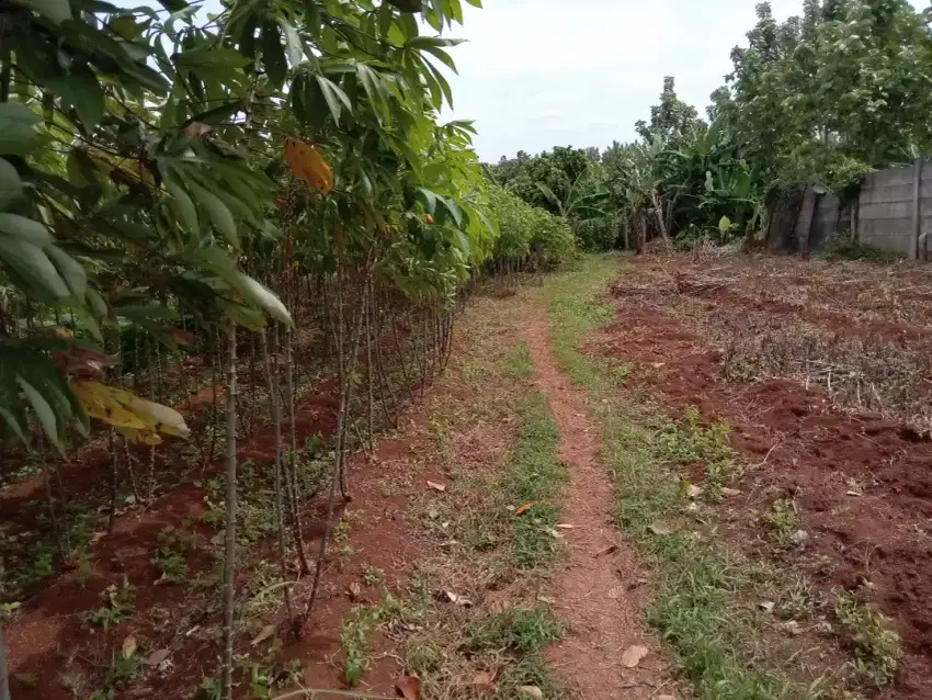 Dijual Tanah Kampung ,bisa expansi Bagus untuk cluster kecil