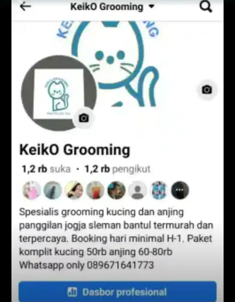 grooming kucing anjing panggilan jogja