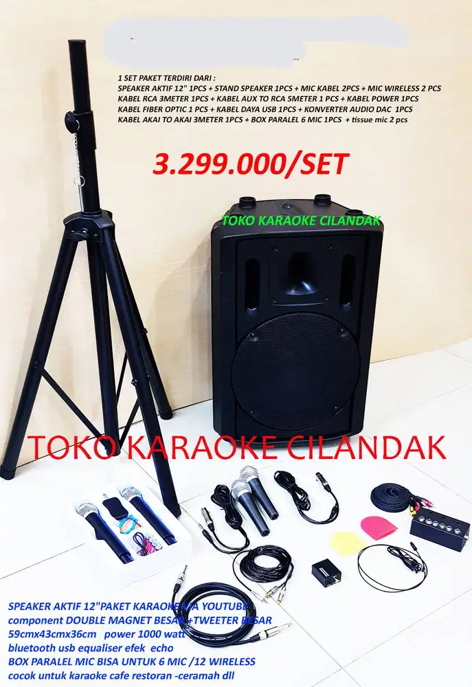 paket aktif 12in lengkap mic