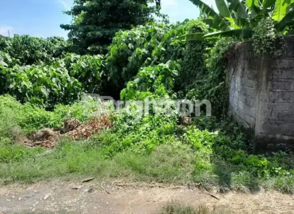 Jual tanah kosong di Buana Raya Padang Sambian Denpasar Bali