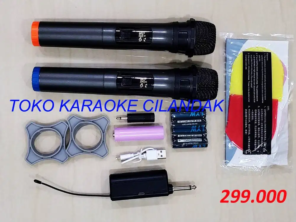 MICROPHONE WIRELESS SIMPLE 2MIC