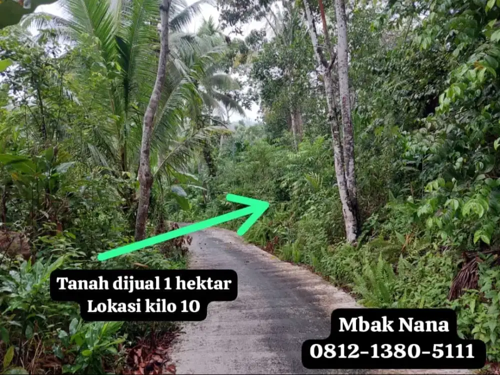 DIJUAL TANAH 1 HEKTAR