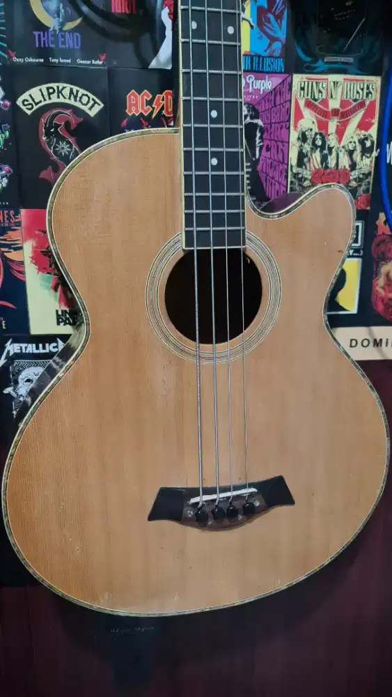 GITAR BASS AKUSTIK ELEKTRIK BISA TT/BT GITAR AKUSTIK DLL