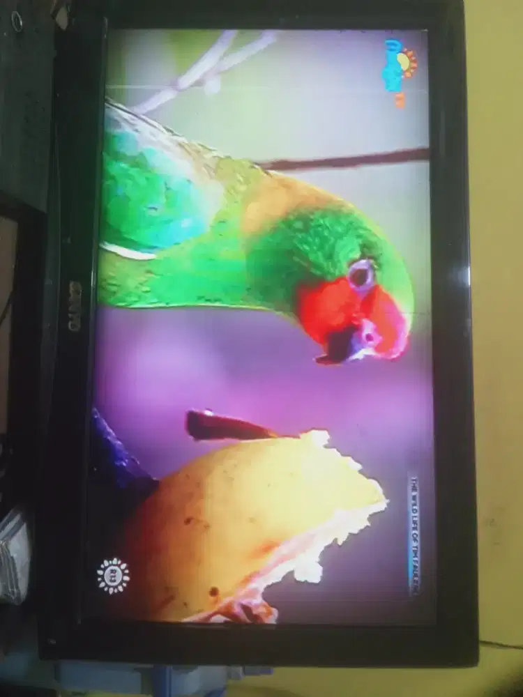 TV Sanyo LCD 24 inch