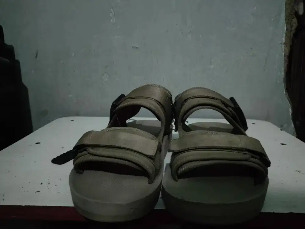 Hijack alto nutmeg second