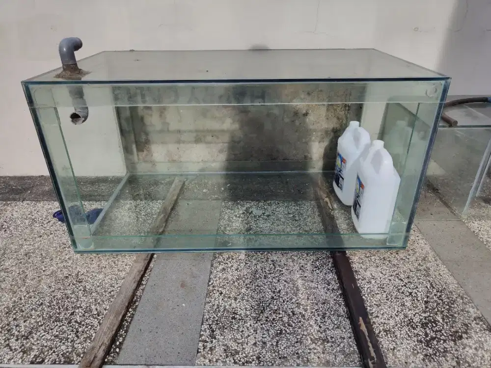 AQUARIUM IKAN ARWANA / AIR LAUT