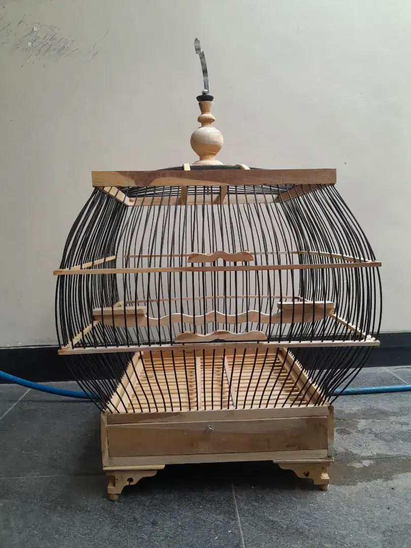 Sangkar derkuku/ puter pelungi