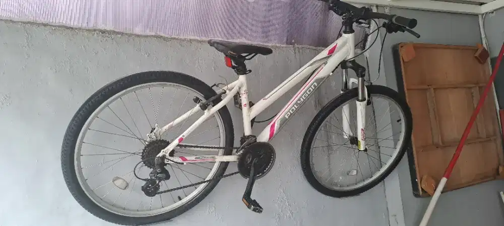 Sepeda Polygon 2.0 ladies
