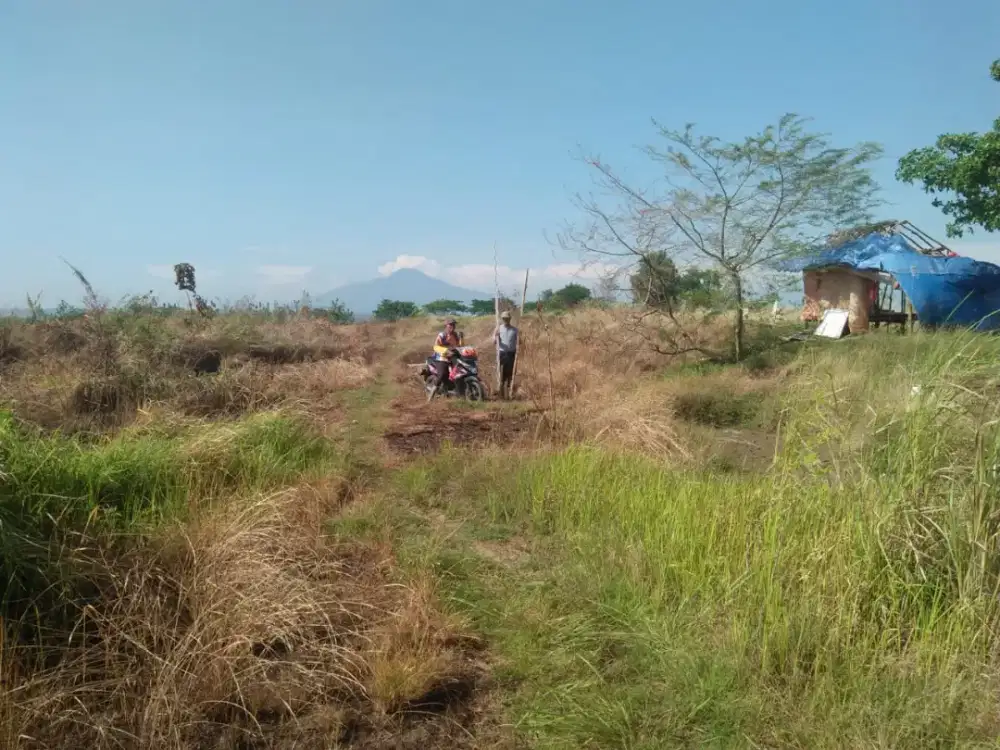 Paving land clearing aspal jalan